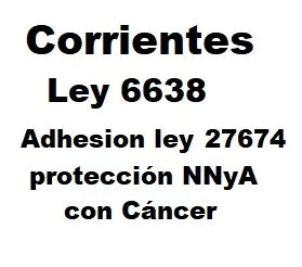 Lee más sobre el artículo Corrientes: ley 6.638 Adhiere ley 27674 régimen de protección integral del NNyA con cáncer.