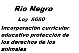 Lee más sobre el artículo Rio Negro Ley 5650: Incorporación curricular educativo protección de los derechos de los animales