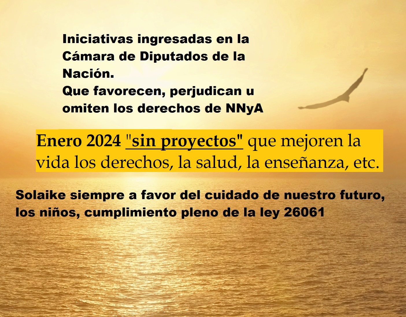 Lee más sobre el artículo Enero 2024 sin proyectos en beneficio de los NNyA